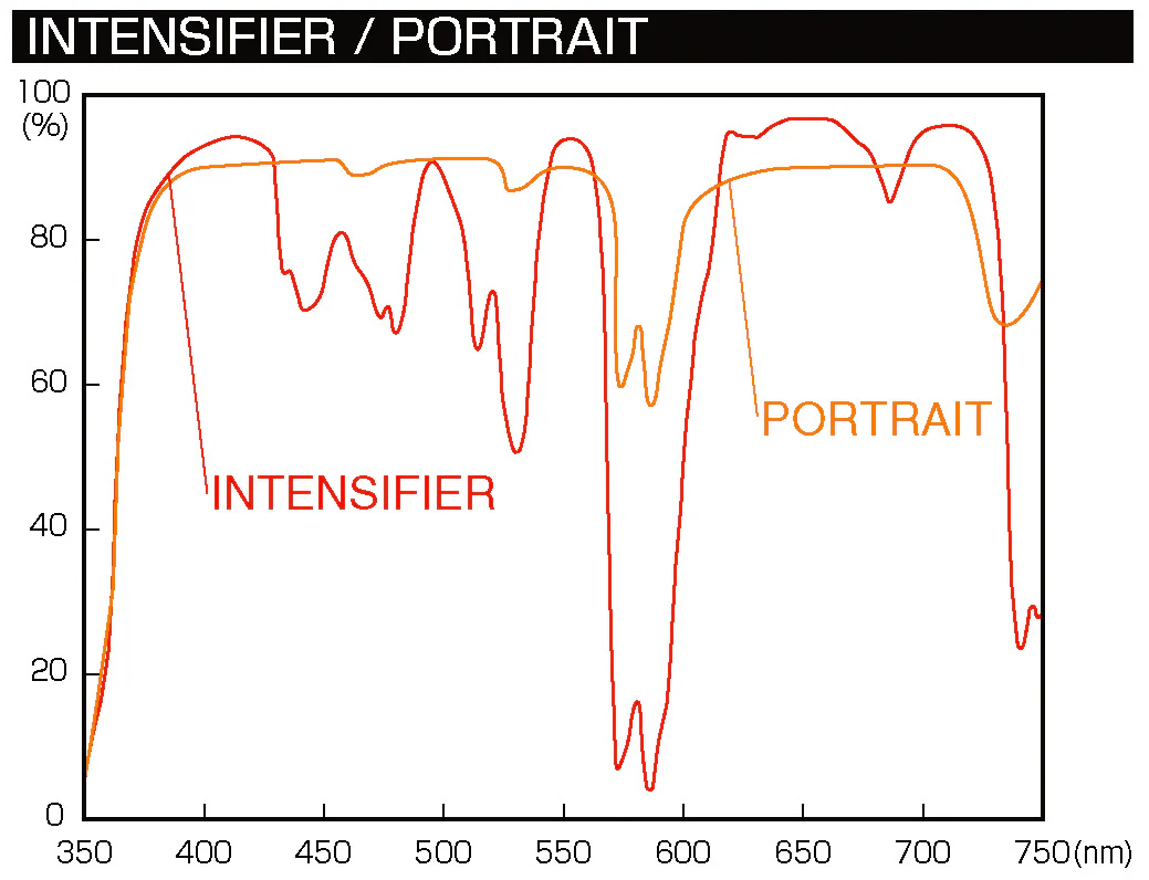 Portrait Filter - Image 4