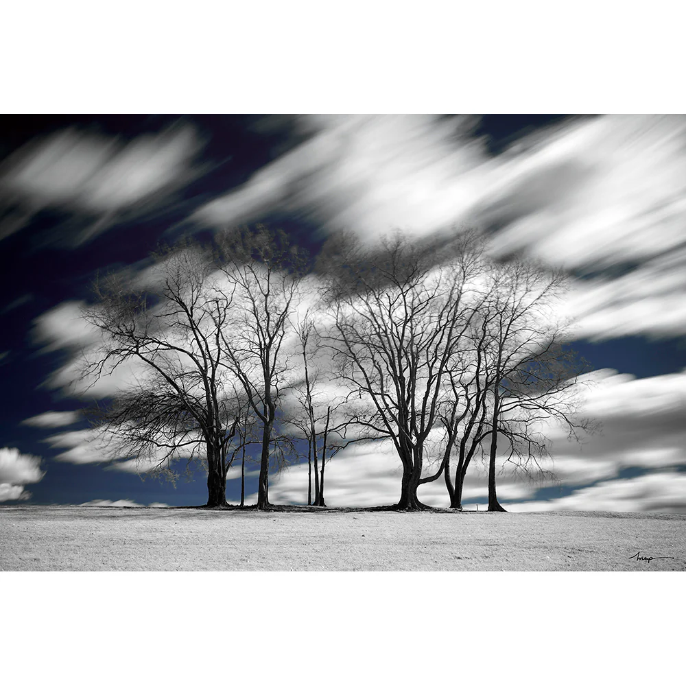 R72 Infrared - Dark Red - Image 5