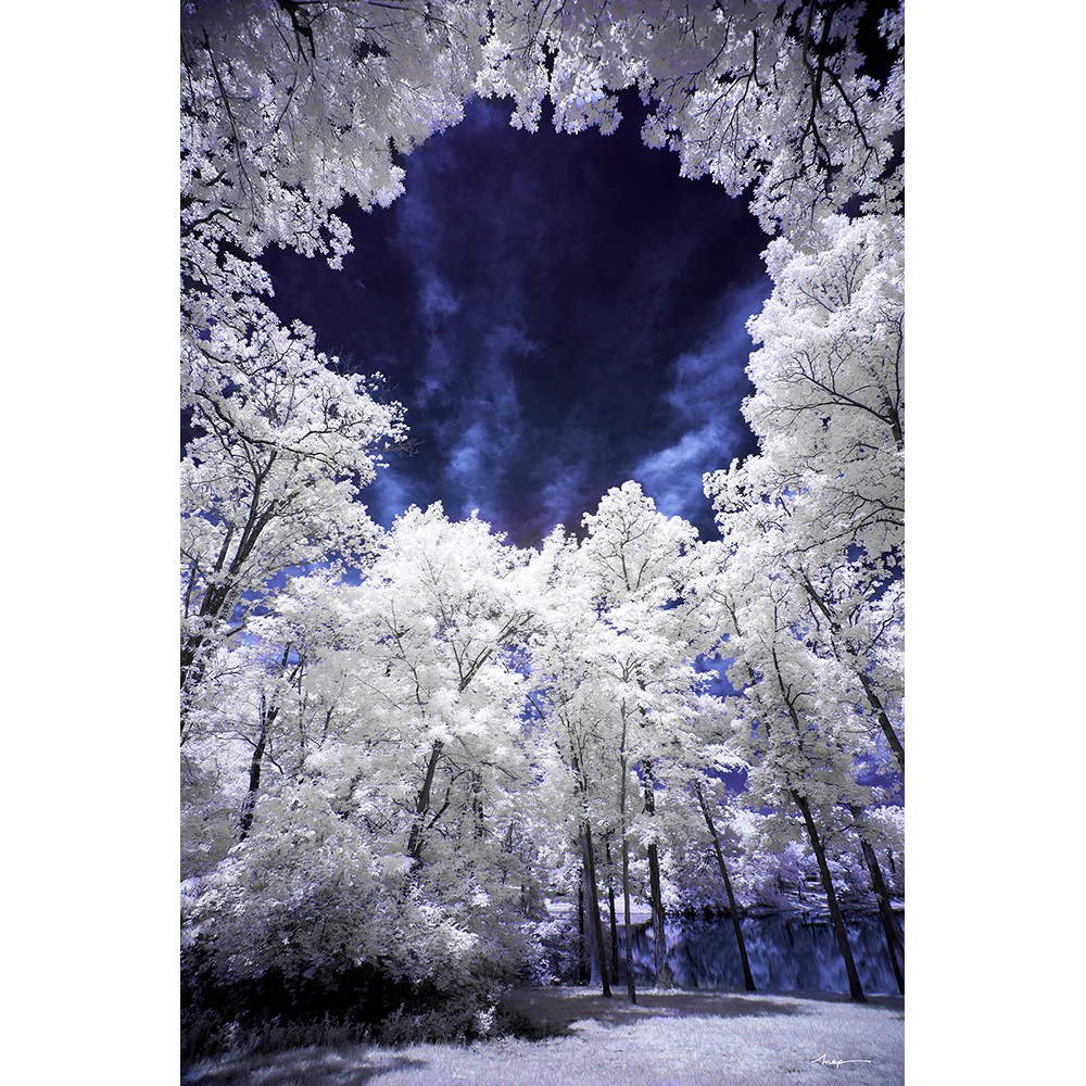 R72 Infrared - Dark Red - Image 6