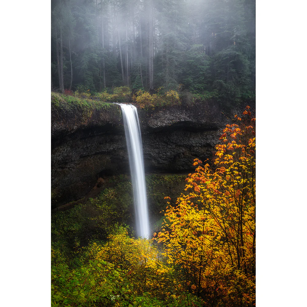 NXT Plus Circular Polarizer - Image 7